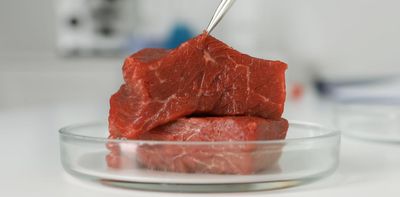 Italy is set to ban lab-grown meat – here’s why it should think again