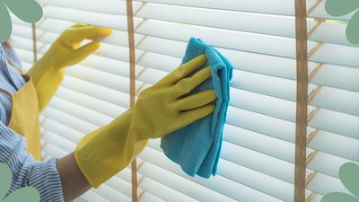 How to clean blinds: 7 expert tips for keeping them dust-free