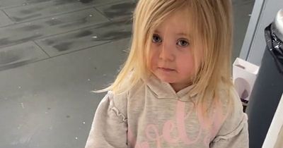 Toddler blames pet dog after human handprints mysteriously appear on fresh paint