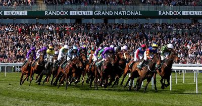 Animal Rights campaigners announce plan to disrupt Grand National with Aintree protest