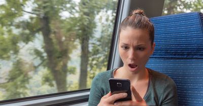 Railway firm begs passengers to stop watching porn on train and 'wait until you get home'