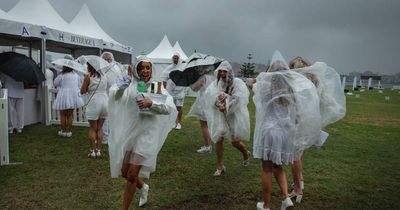 Diner en Blanc organisers to offer partial refunds
