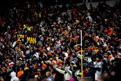 Bengals respond to ideas of new stadium, roof and upgrades