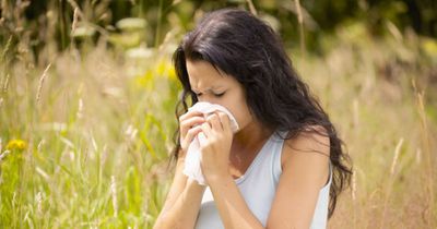 UK weather: Where 'pollen bomb' will be worst for hay fever sufferers