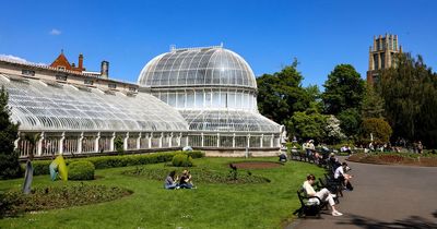 Northern Ireland weather outlook warns for high pollen count next week