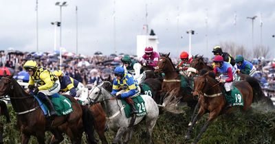 Woman arrested in connection with potential Grand National protest