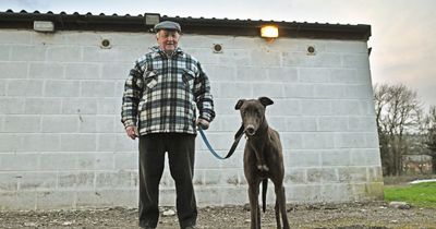 Wales’ last greyhound racing track and the dedicated community fighting against a ban