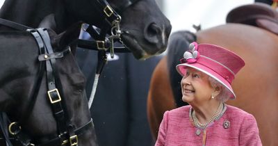 Where late Queen's horses are now - £27m value and Charles' decision to sell mum's mares