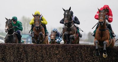 What does each way mean in horse racing? Grand National betting and places explained