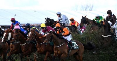 Maths genius who's won €15m for fans picks out 66/1 shot for Grand National