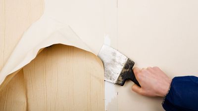 How to remove wallpaper from drywall – 3 master methods for a smooth surface