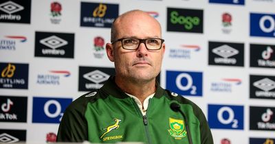 South Africa head coach Jacques Nienaber to join Leinster after World Cup