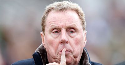 Harry Redknapp reveals what he has 'heard' about Jude Bellingham after Liverpool decision