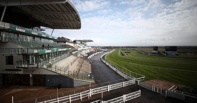 Grand National 2023: Dark Raven dies after fall at Aintree