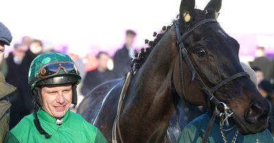 Second horse dies at Grand National as Dark Raven falls