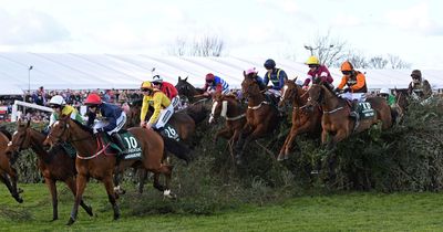 Grand National tips: Maths genius who has won £14m for punters picks out long shot