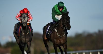 Dark Raven dies after fatal injury in heavy fall on Grand National 2023 day