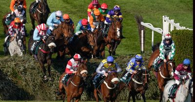 Grand National 2023: Where did my horse finish in Aintree showpiece race?