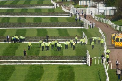 Nine protestors arrested after accessing Aintree track