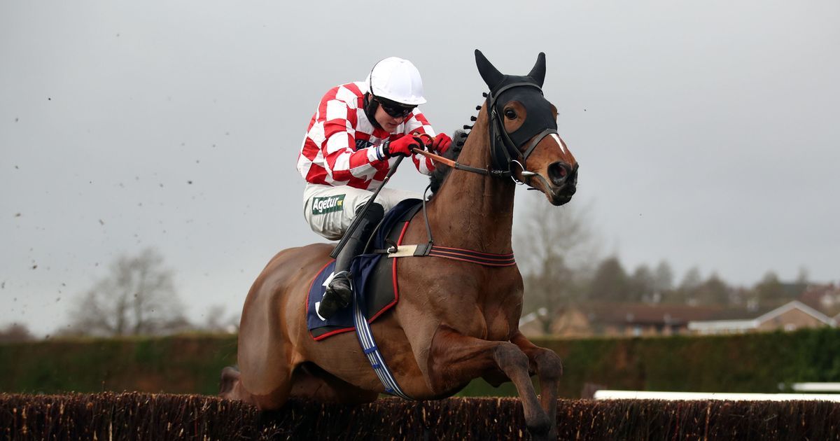 How many horses died at the Grand National 2023? How many horses died at the Grand National 2023?