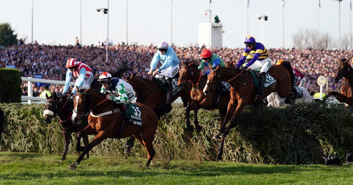 How many horses died in the 2023 Aintree Grand…