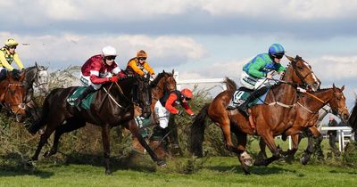 Hill Sixteen dies after falling during the Grand National