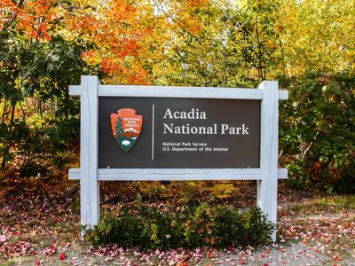 Teen dies after 25-foot fall in Acadia National Park