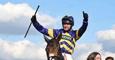 Grand National winner Derek Fox rides into history books on dramatic day at Aintree