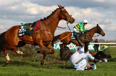 Another horse dies at the Grand National, can more be done?