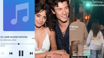 Camila Cabello Has Already Written A Song About Seeing Shawn At Coachella She Shared It On IG