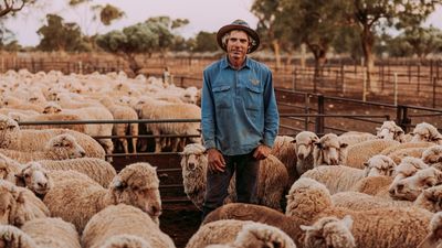 Restoring WA's iconic Rawlinna Station after years marred by drought and dog attacks