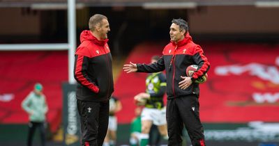 The Wales coaches discarded by Warren Gatland who still have loads to offer and could return to Welsh rugby