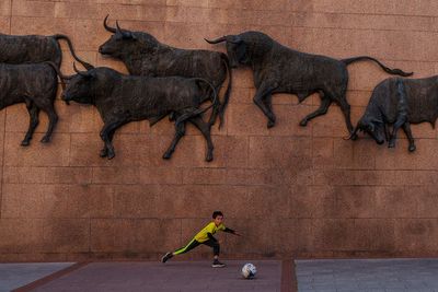 Young people drive bullfighting's resurrection in Spain