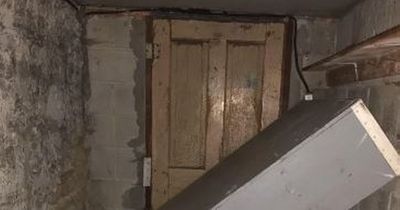 Man's life turns into 'horror movie' after finding hidden door in basement