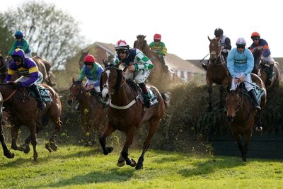 Calls for jump racing ban after three horses die at Aintree Grand National