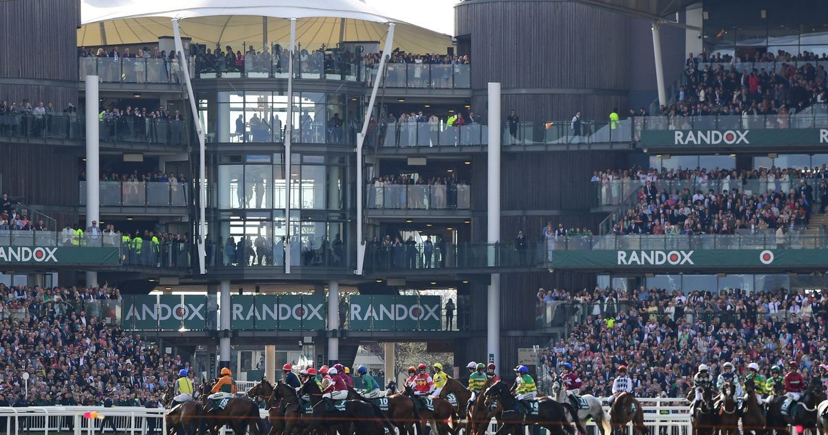 RSPCA calls for urgent review into Grand National…