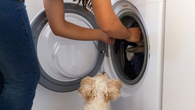 How to fix a washing machine that won’t spin - without calling a professional