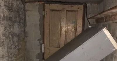 Man feels like he's living in 'horror movie' after finding hidden door in basement