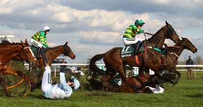 How many horses died in the Grand National 2023?