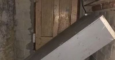 'I found a hidden door in my new home - it's like a horror movie, even my dogs won't go near it'