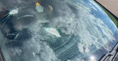 East Lothian motorist has car seized after driving with smashed up window