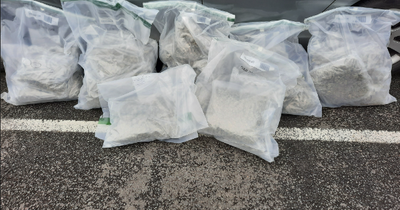 Pair arrested after police seize large quantity of suspected cannabis from Larne Harbour