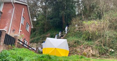 Forensic specialists investigate human remains found in woodland on residential street