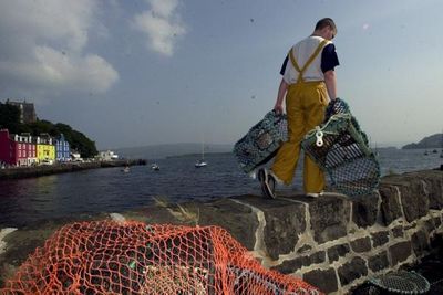 People are worried about their livelihoods amid HMPAs concern, says SNP MP