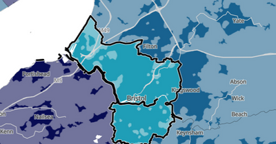 Amazing map reveals the 60-plus languages spoken throughout Bristol