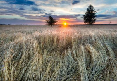 Sunday Scaries: What I am Watching that Could Impact the Grain Markets This Week