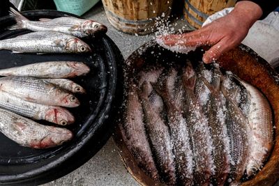 Nile-side Egypt town heralds spring with pungent delicacy