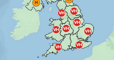 Met Office predicts 'pollen bomb' meaning hay fever sufferers will have miserable start to the week