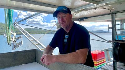 Clarence River prawn farmers call for compensation over white spot prawn disease outbreak