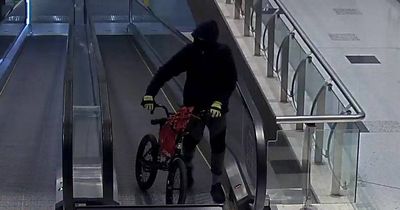 BMX bandit allegedly stole Armani watches in Hunter smash and grab